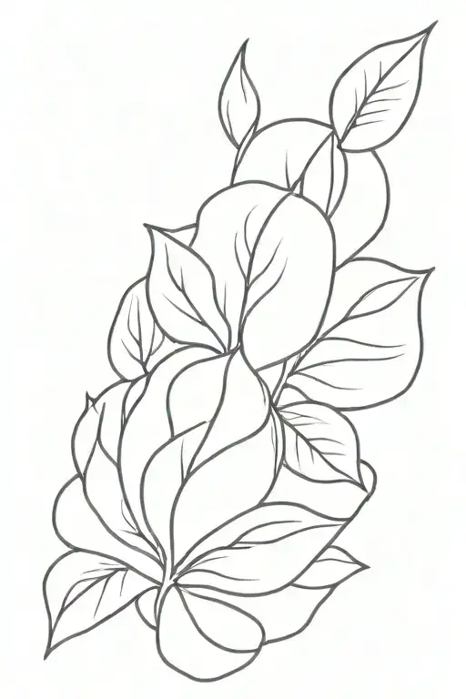 Outline