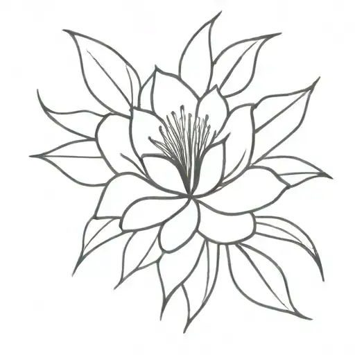 Aashifa