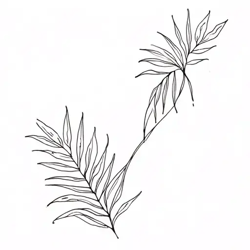 Tropical Plants