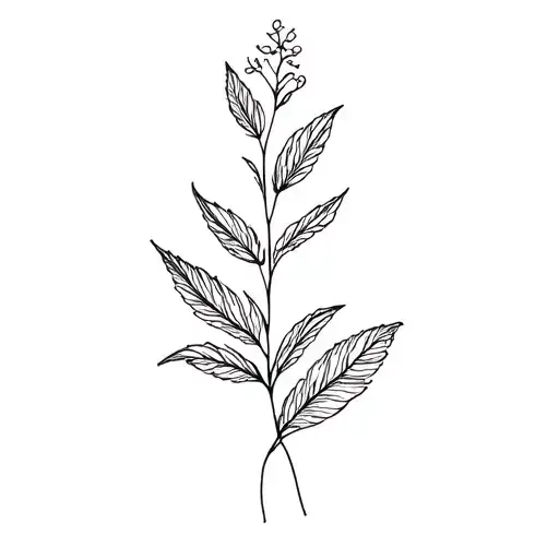 Plants