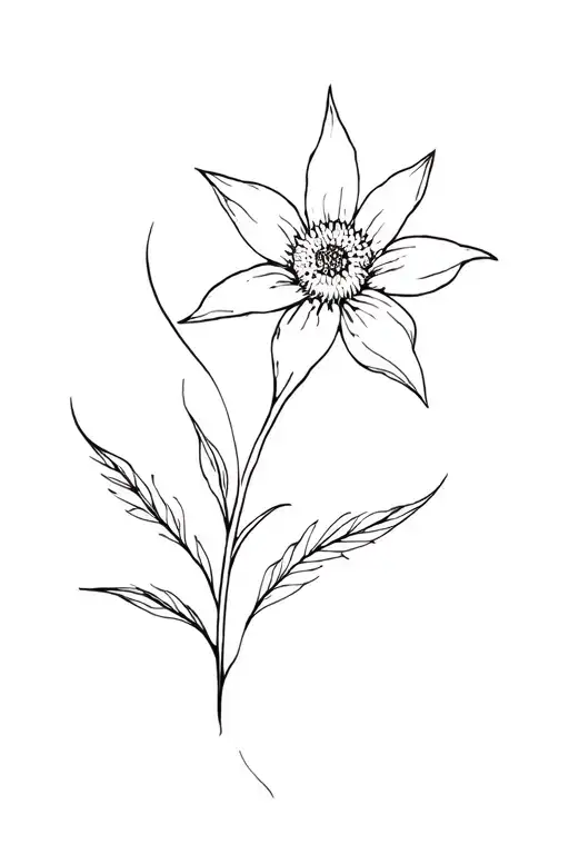 Pacific Starflower