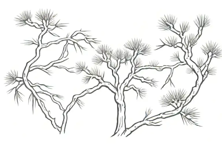 Joshua Tree Branches