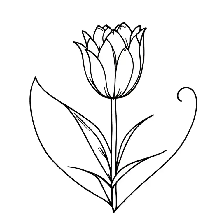 Daniel With Tulip Flower And Heart Shape