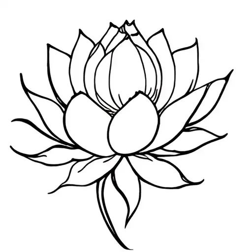 Lotus Flower Growing