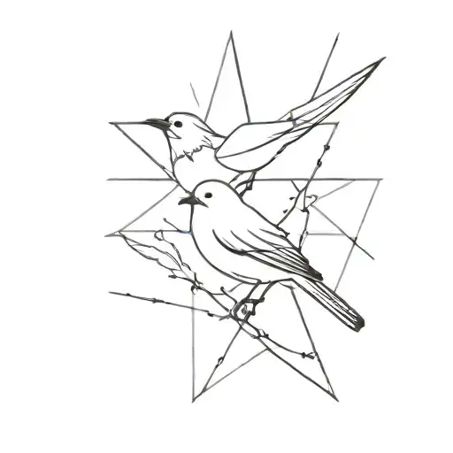 Birds Star