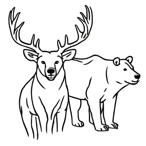Buck And Bear Outline
