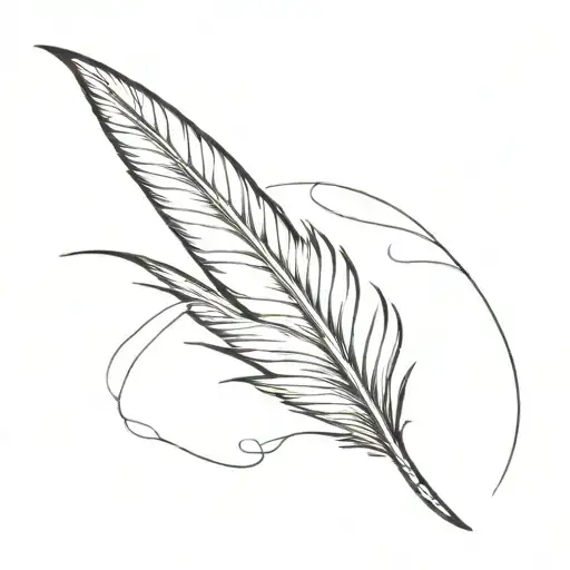 Sensitive Skin And Feather Quill Scrawling