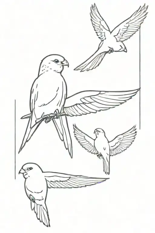 Cockatiel And Budgerigar In Flight