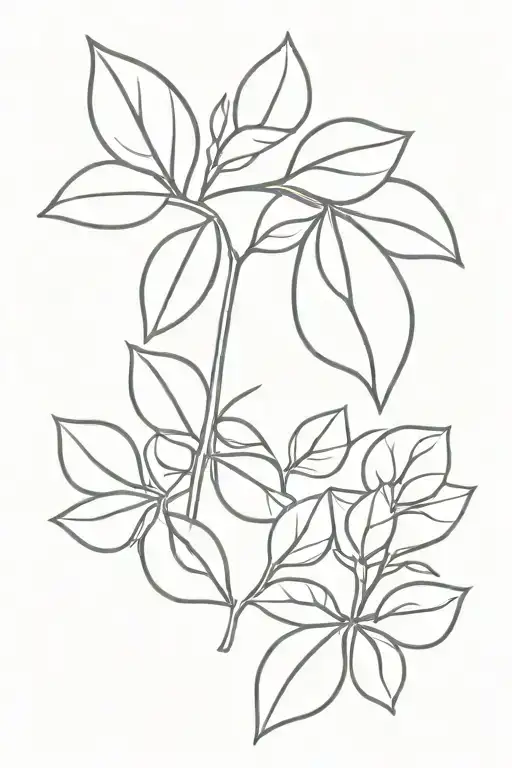 Orange And Leaves Growing
