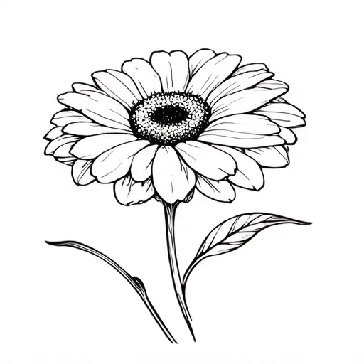 Gerbera Flower