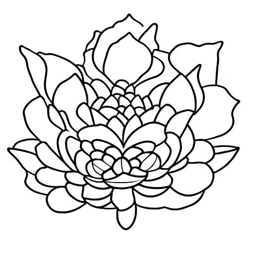 A Serene Lotus Flower Floating On Calm Water