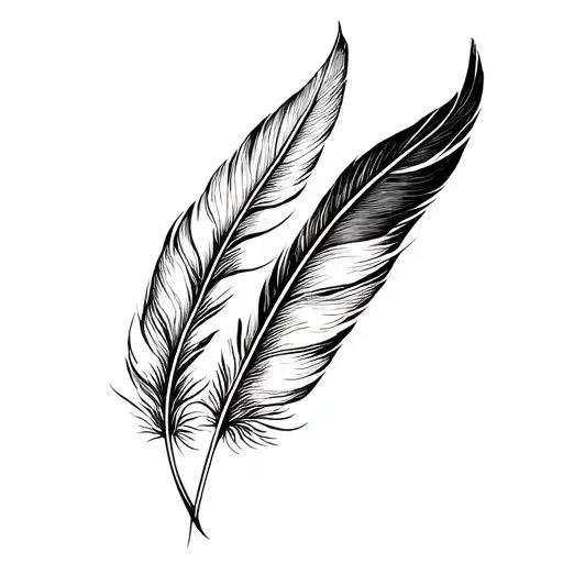 Bird Feather
