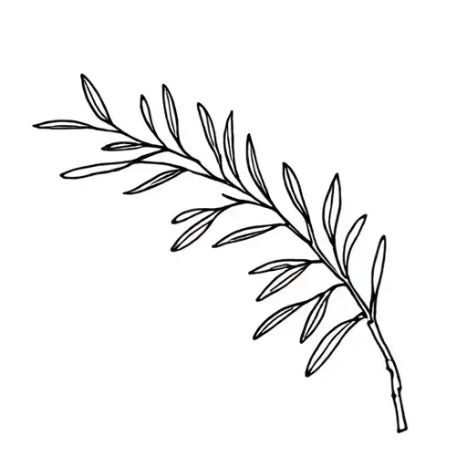 Olive Tree Branch