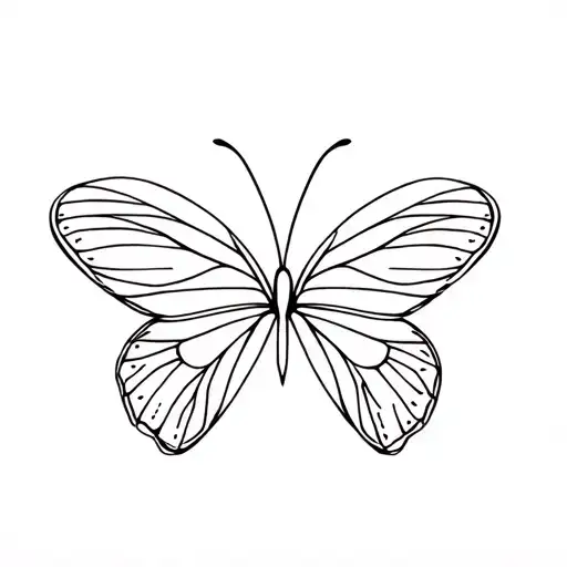 Butterfly Wings