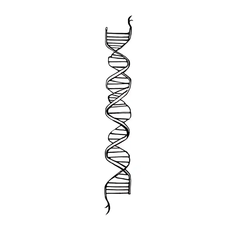 Dna Double Helix Forming