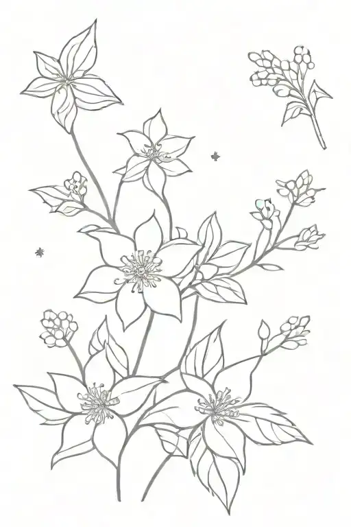 Aconite Flower And Viburnum Plant With Stars