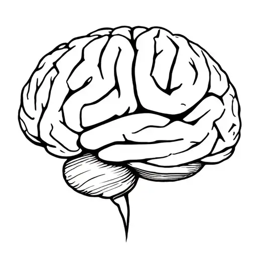 Brain