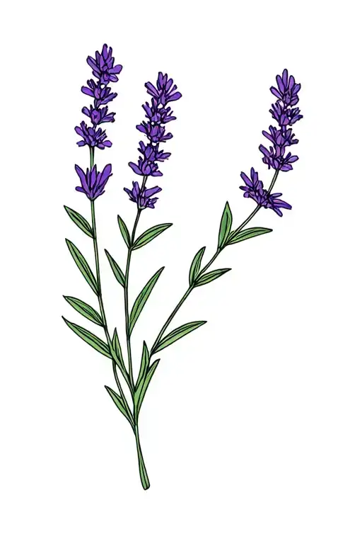 Crimean Lavender And Nilskaya Lilia