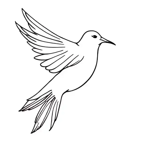 Dove Carrying An Olive