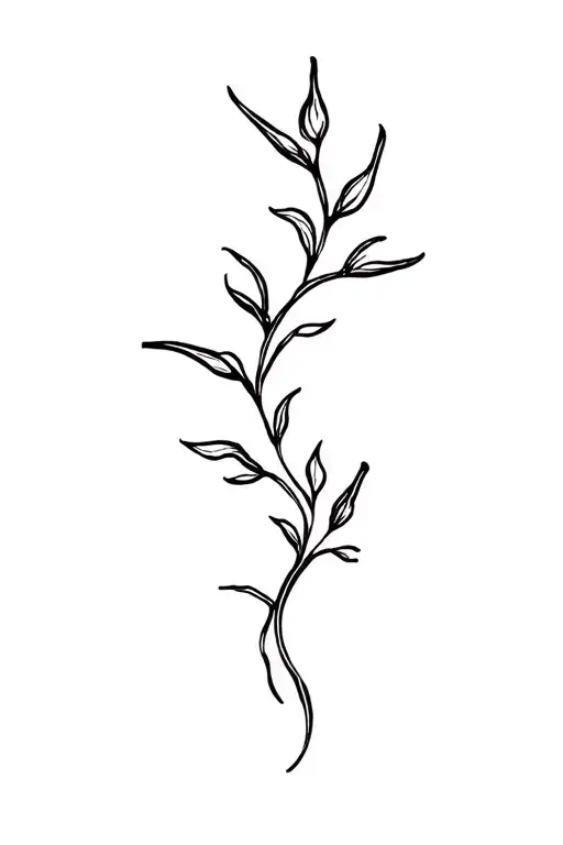 Pathos Plant Vine Wrapping