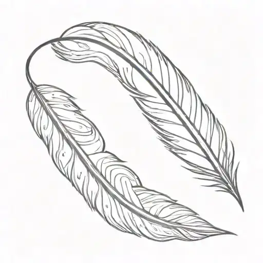 Feather Quill Scrawling Line