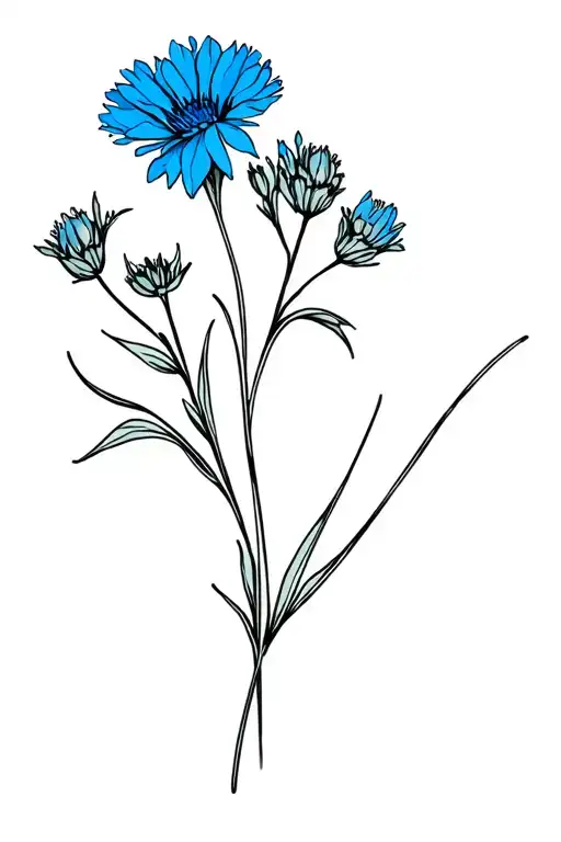 Cornflower