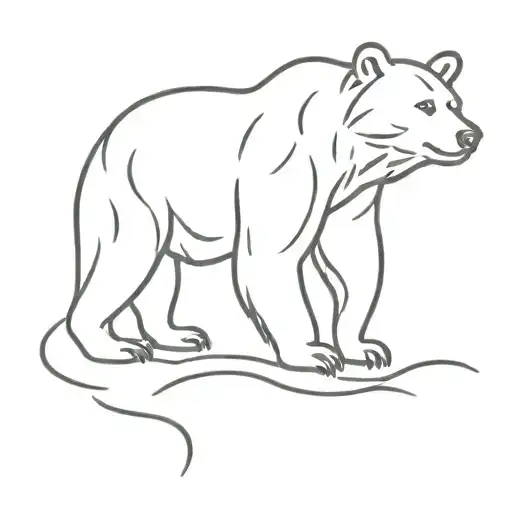 Bear Looking At The Sky