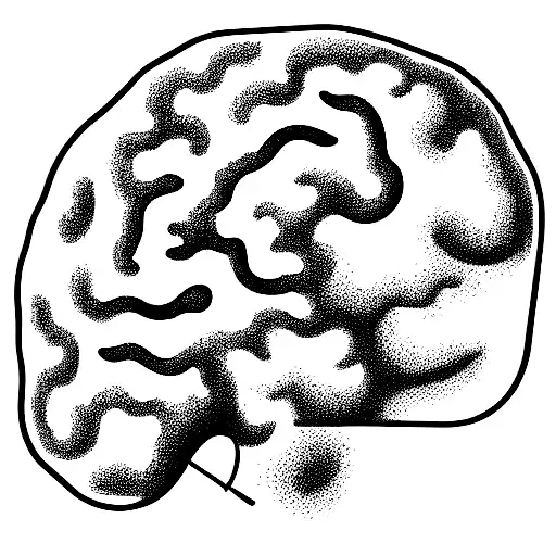 Human Brain Floatin In The Outer Space