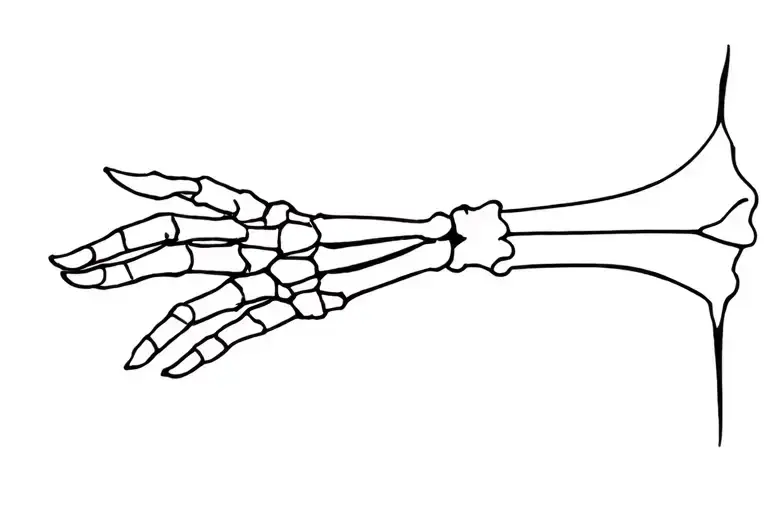 Hand Bone Hand