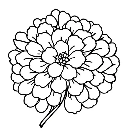 Hydrangea Flower