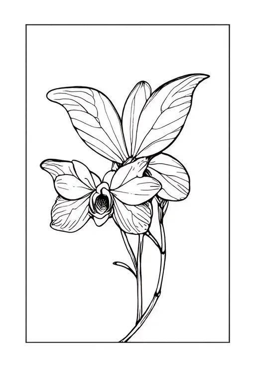 Orchid Wit Butterfly