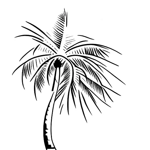 Outline Of A Palm Tree With A Small Airplane Above It