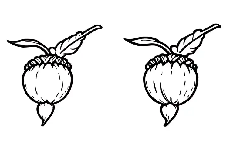 Acorn
