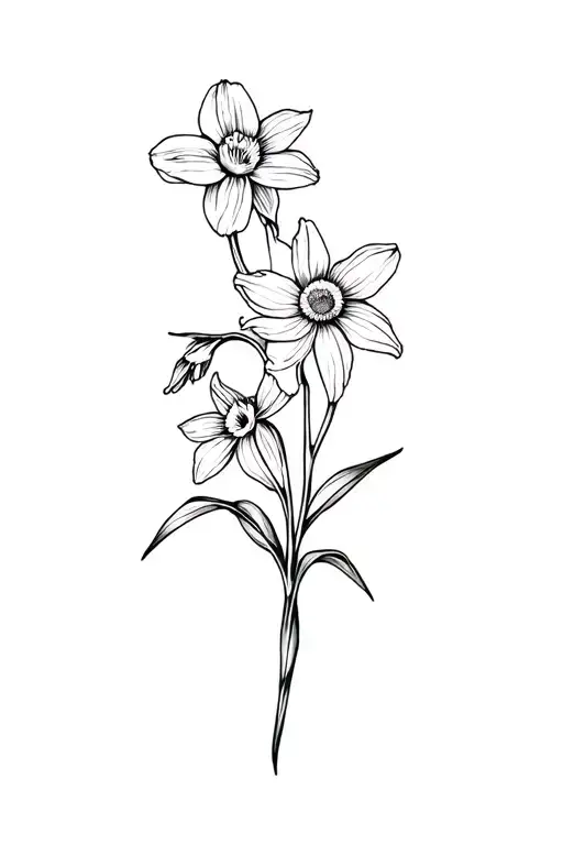 Daffodil And Daisy And Carnations Iris Lily