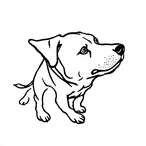 Labrador