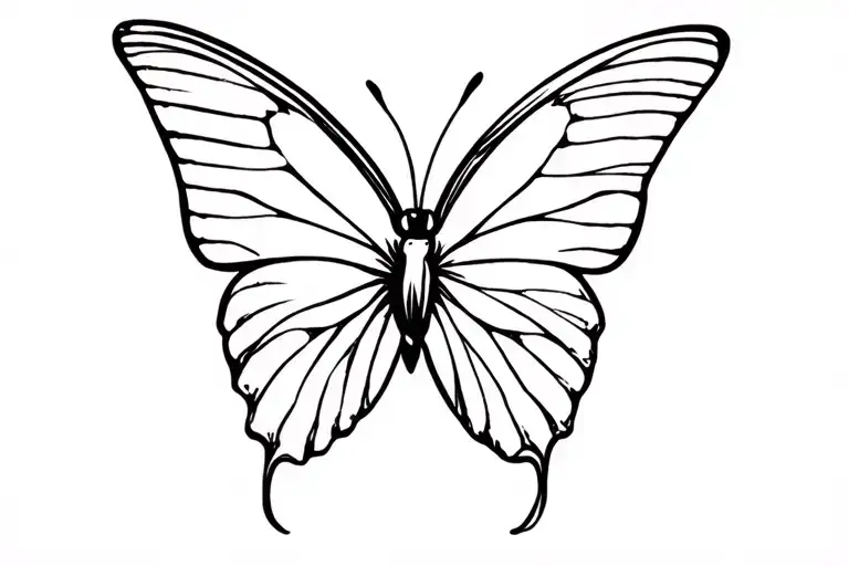 Butterfly Perched