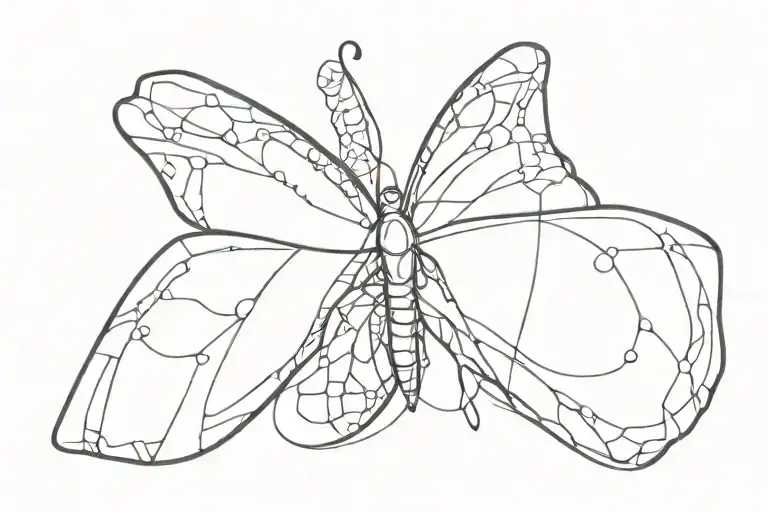 Butterfly Resting