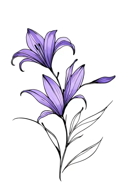 Violet And Lily Flower