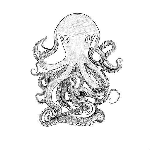 An Octopus And An Octopus