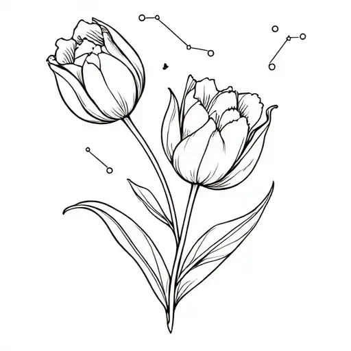 Single Tulip And Aquarius Constellation Intertwined