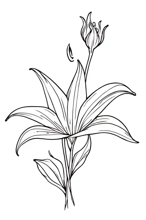 Lily Flower And Sun Symbol