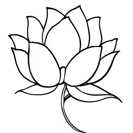 Lotus Flower