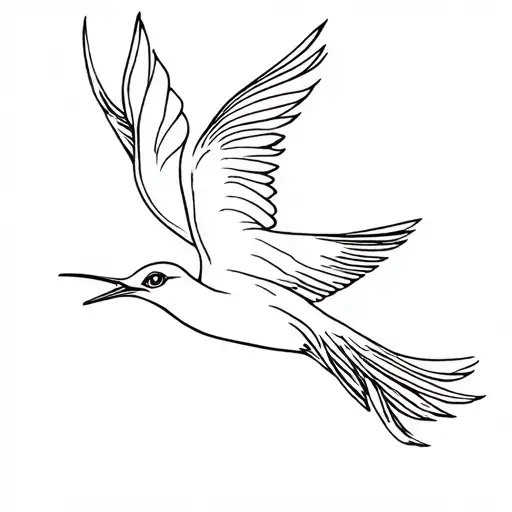 Dainty Quetzal Bird Flying