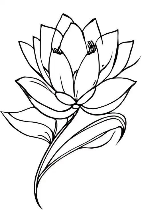 Lotus Flower