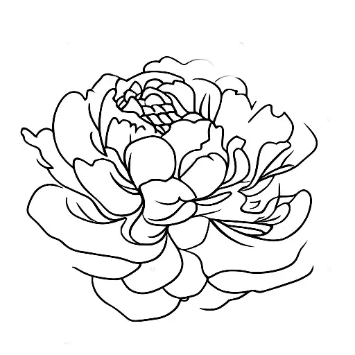 Dainty Peony
