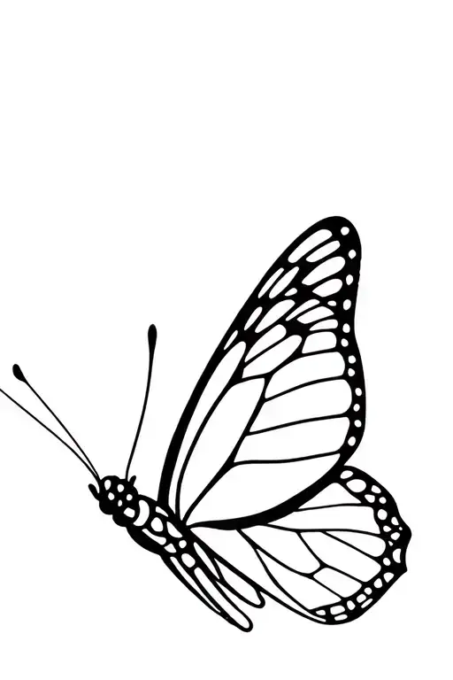 Butterfly Flying