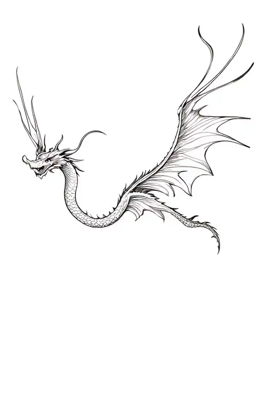 Dragon Flying