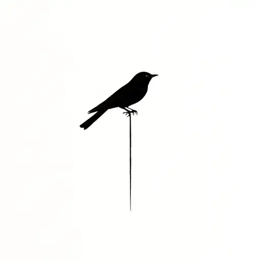 Blackbird