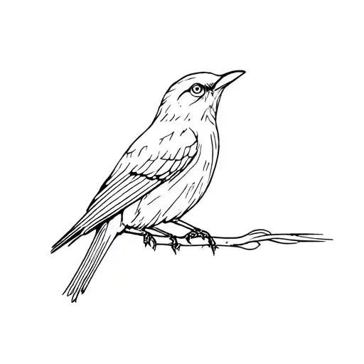 Blackbird Fineline