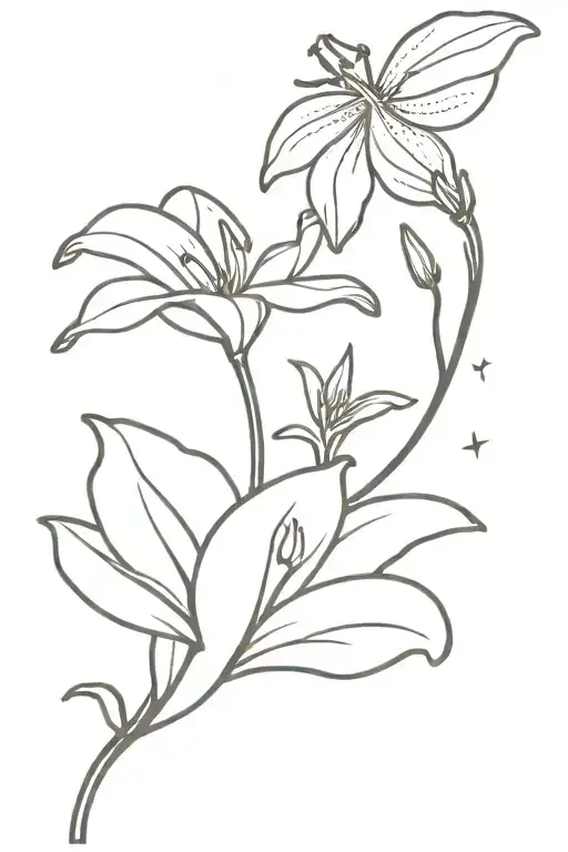 Lily Flower With Firefly Looking At Star In The Spotlight